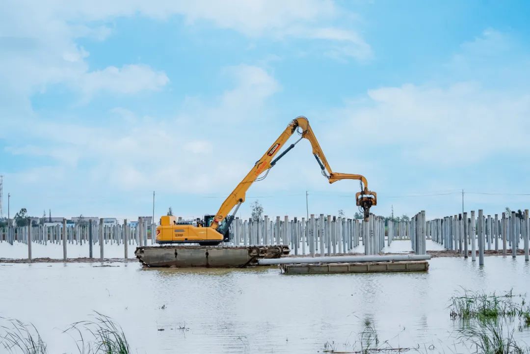 币游·国际(中国游)官方网站