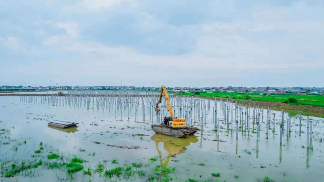 币游·国际(中国游)官方网站